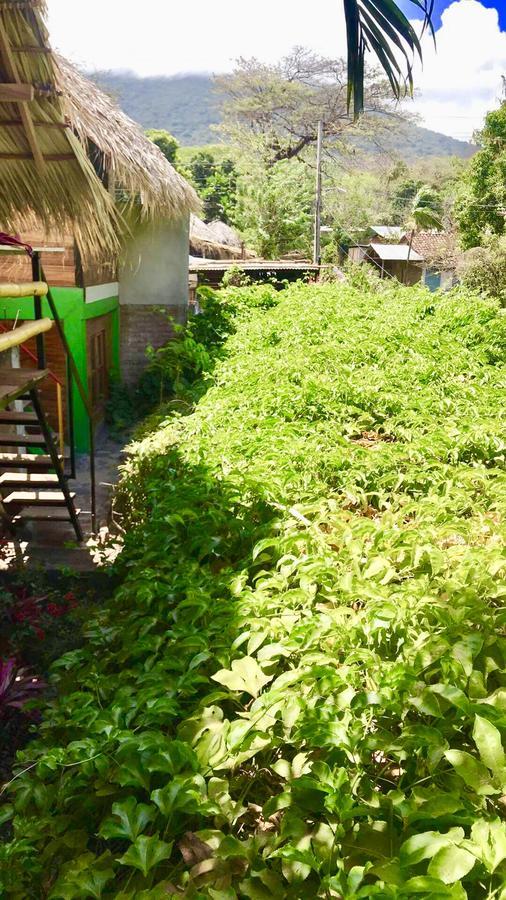 Lazy Crab Hostel Balgue Екстериор снимка
